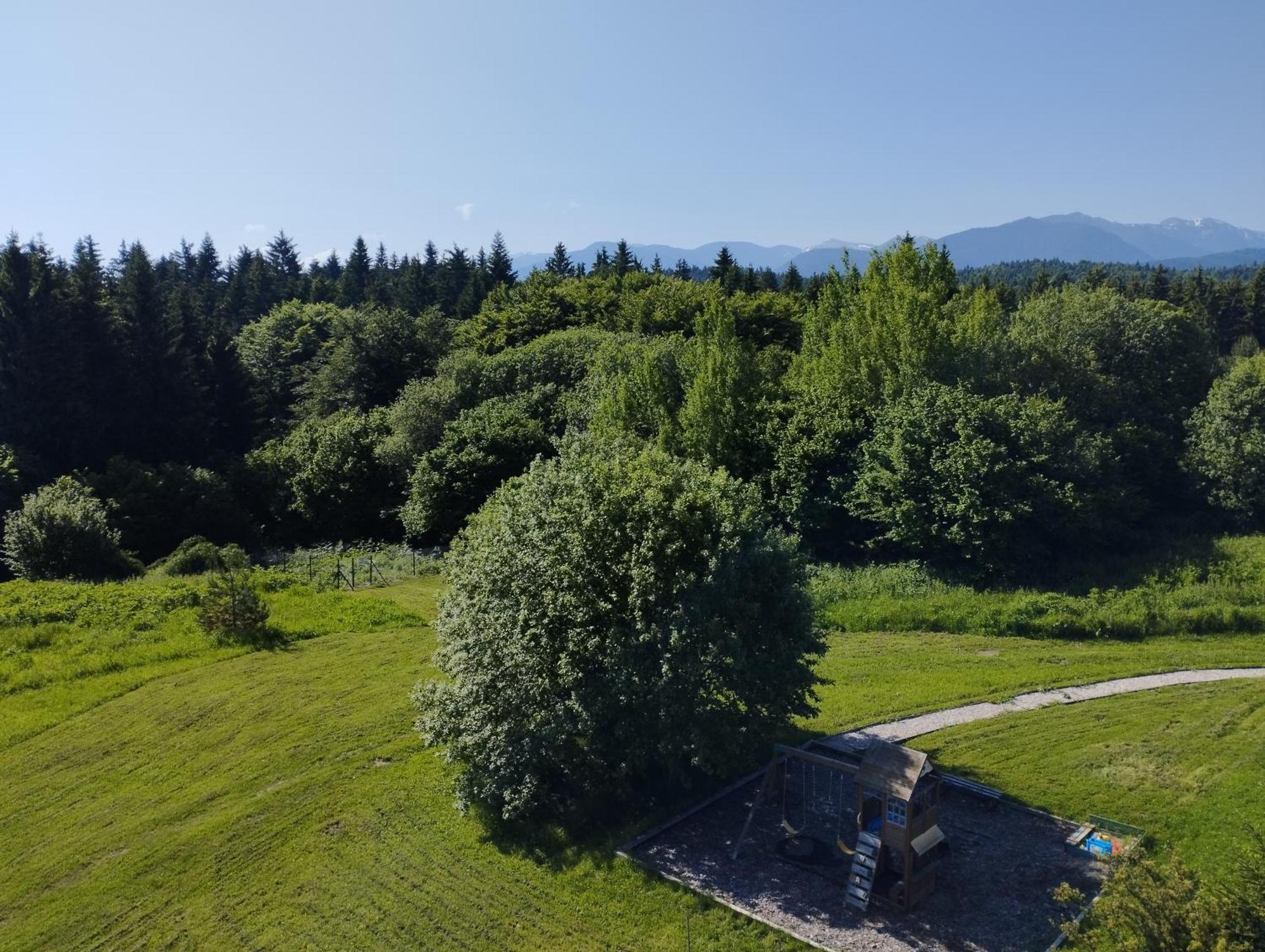 Chamkoria Chalets Borovets Exterior photo